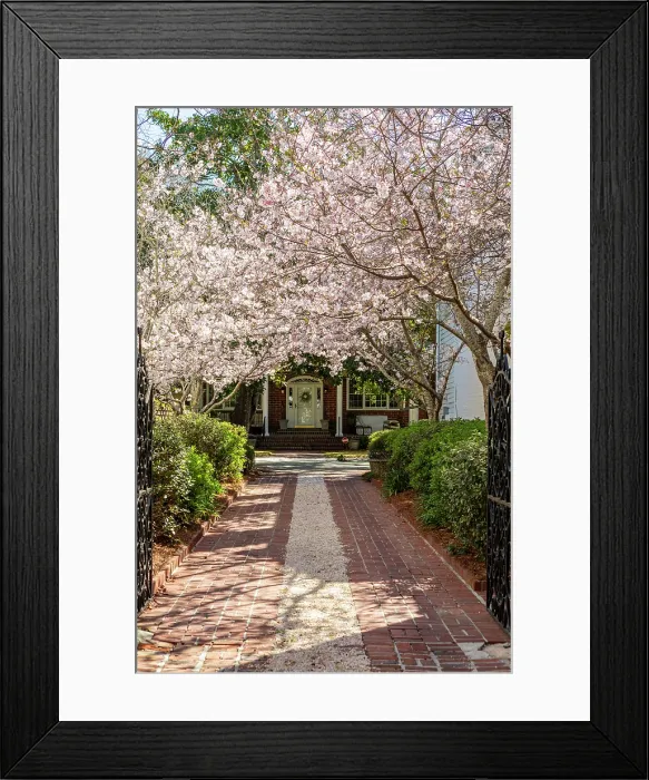 Framed Print : Charleston, South Carolina, USA, North America Framed Print : Charleston, South Carolina, USA, North America