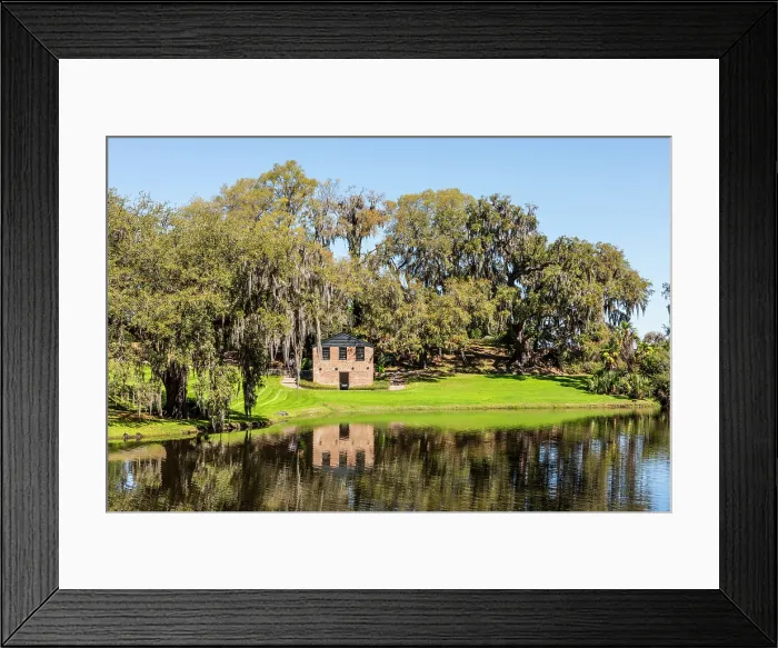 Framed Print : Middleton Place, Charleston, South Carolina, USA, North America Framed Print : Middleton Place, Charleston, South Carolina, USA, North America