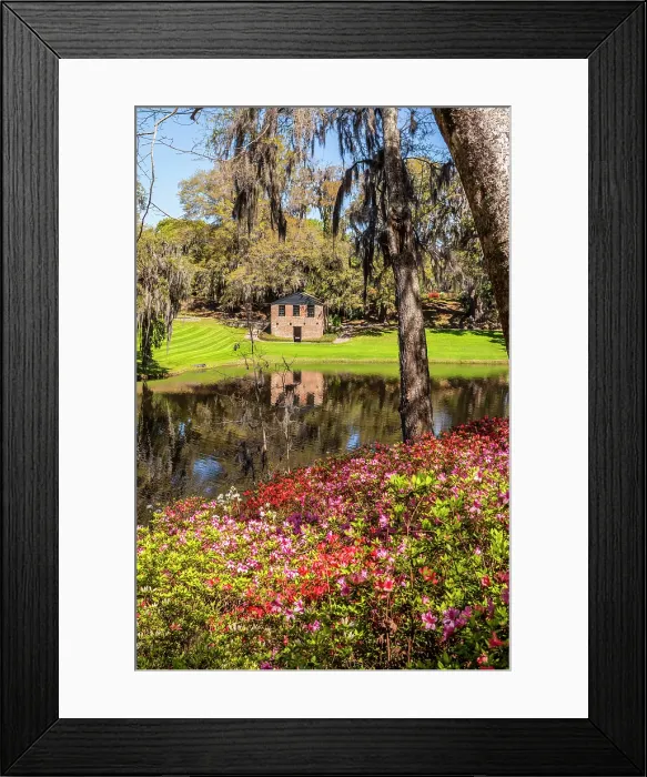 Framed Print : Middleton Place, Charleston, South Carolina, USA, North America Framed Print : Middleton Place, Charleston, South Carolina, USA, North America