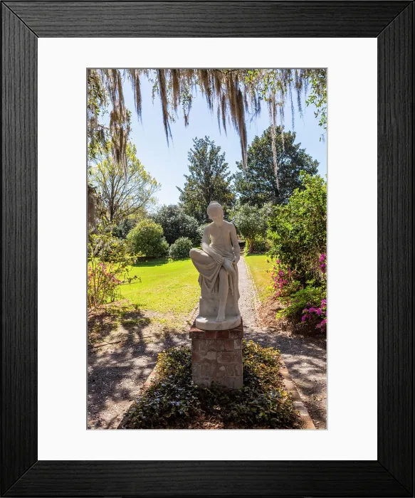 Framed Print : Middleton Place, Charleston, South Carolina, USA, North America Framed Print : Middleton Place, Charleston, South Carolina, USA, North America