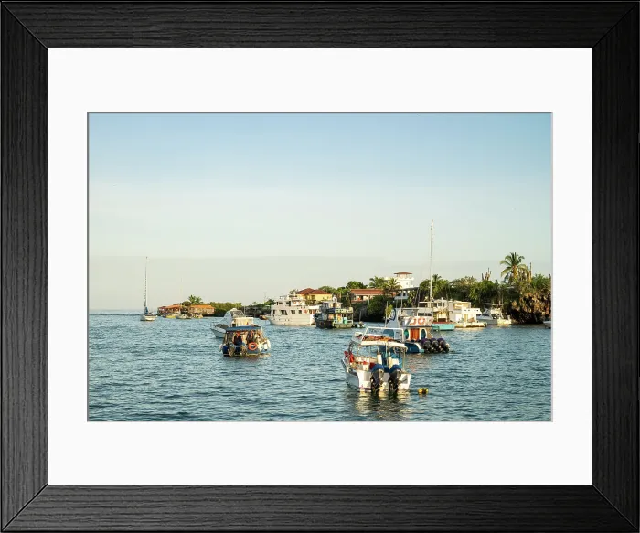 Framed Print : Puerto Ayora, Santa Cruz Island, Galapagos Islands, Ecuador Framed Print : Puerto Ayora, Santa Cruz Island, Galapagos Islands, Ecuador