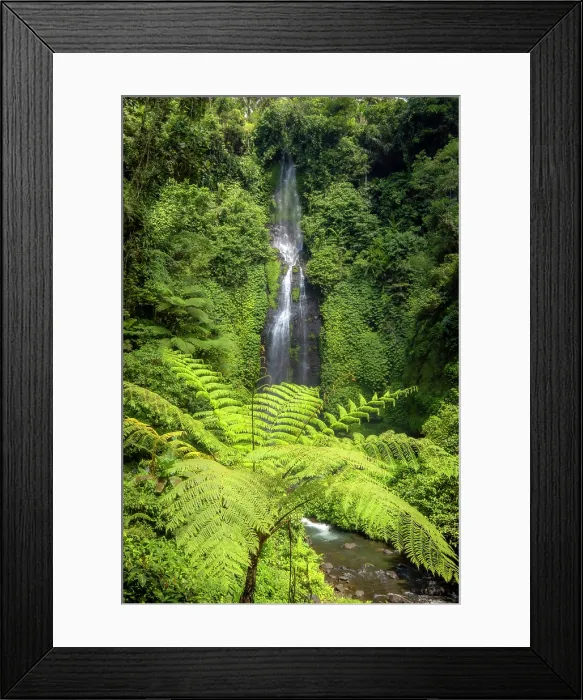 Framed Print : Fern tree & Sekumpul waterfall, Bali, Indonesia Framed Print : Fern tree & Sekumpul waterfall, Bali, Indonesia