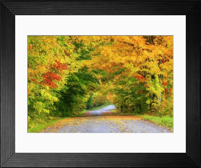 Framed Print : Country road in autumn, Green Mountains, Morristown, Vermont, USA Framed Print : Country road in autumn, Green Mountains, Morristown, Vermont, USA