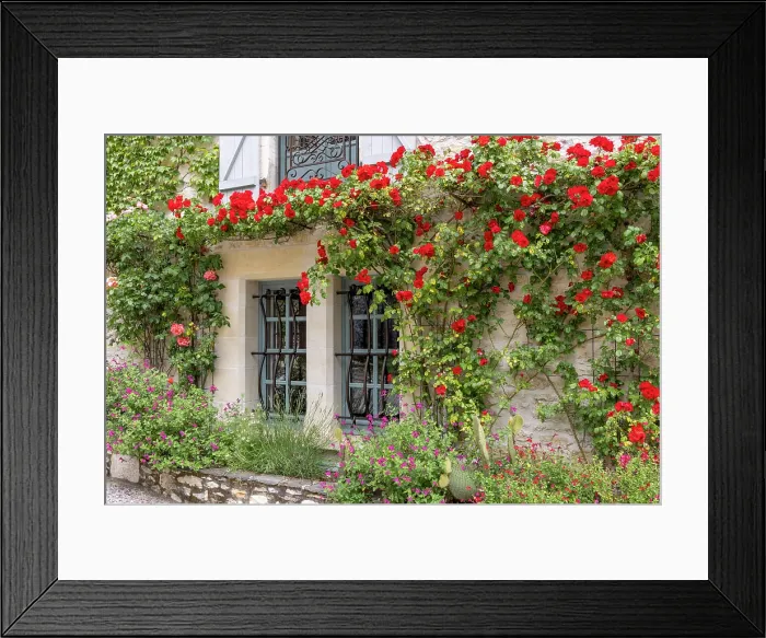 Framed Print : Roses surround a window, Martel, Les Plus Beaux Villages de France (The Most Beautiful Villages of France), Lot, Occitanie, France Framed Print : Roses surround a window, Martel, Les Plus Beaux Villages de France (The Most Beautiful Villages of France), Lot, Occitanie, France