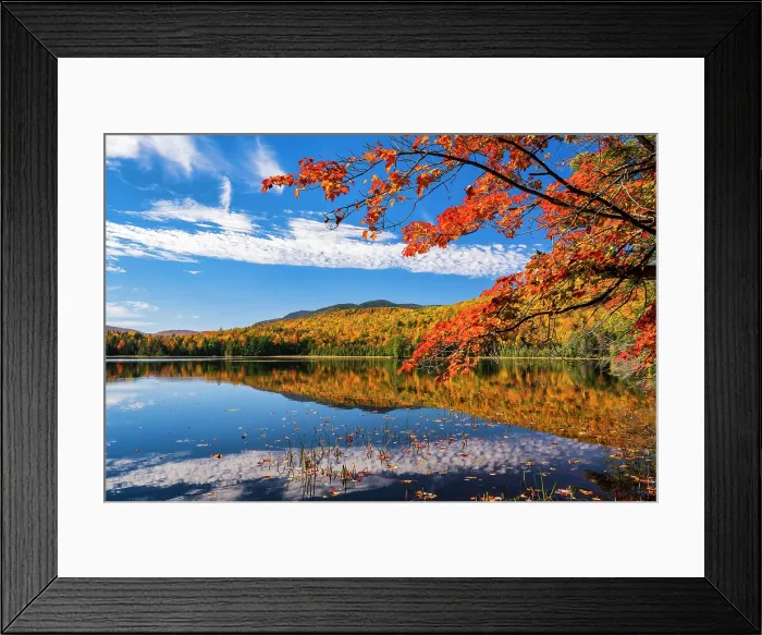 Framed Print : Maple tree over lake reflection in autumn, Adirondack Mountains, New York, USA Framed Print : Maple tree over lake reflection in autumn, Adirondack Mountains, New York, USA