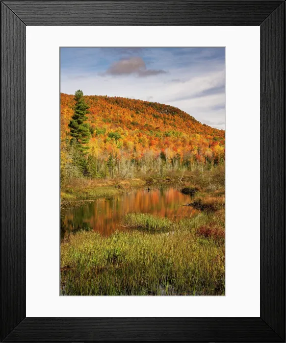 Framed Print : Pond reflection, Adirondack Mountains, New York, USA
