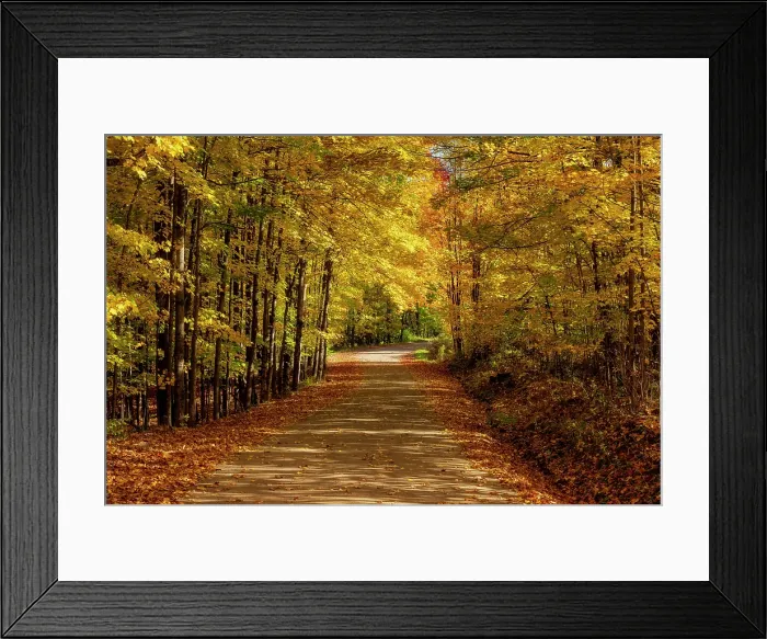 Framed Print : Gravel road in autumn, Adirondack Mountains, New York, USA Framed Print : Gravel road in autumn, Adirondack Mountains, New York, USA