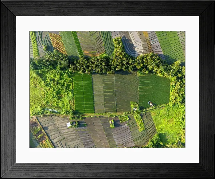 Framed Print : Rice Tarraces near Tanah Lot, Bali, Indonesia