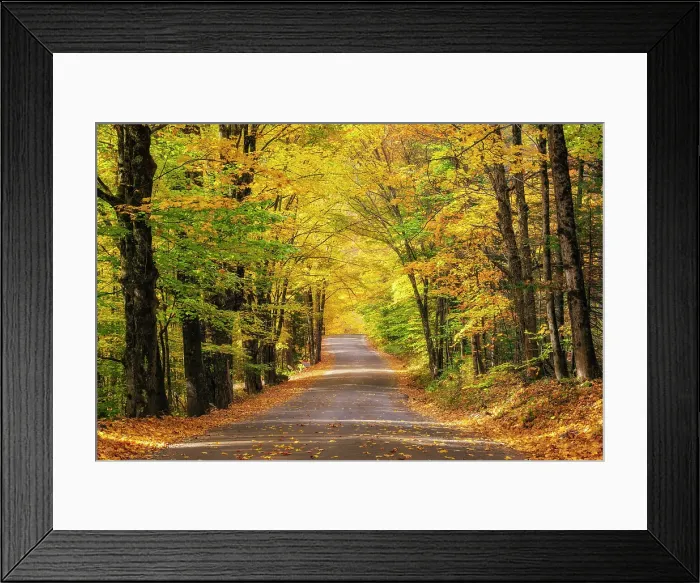 Framed Print : Gravel road in autumn, Adirondack Mountains, New York, USA Framed Print : Gravel road in autumn, Adirondack Mountains, New York, USA