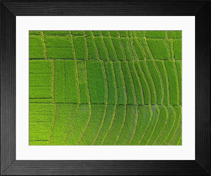 Framed Print : Rice Tarraces near Tanah Lot, Bali, Indonesia