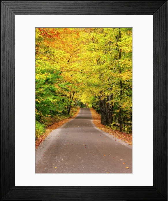 Framed Print : Road with fall foliage in the Adirondack Mountains, New York, USA Framed Print : Road with fall foliage in the Adirondack Mountains, New York, USA