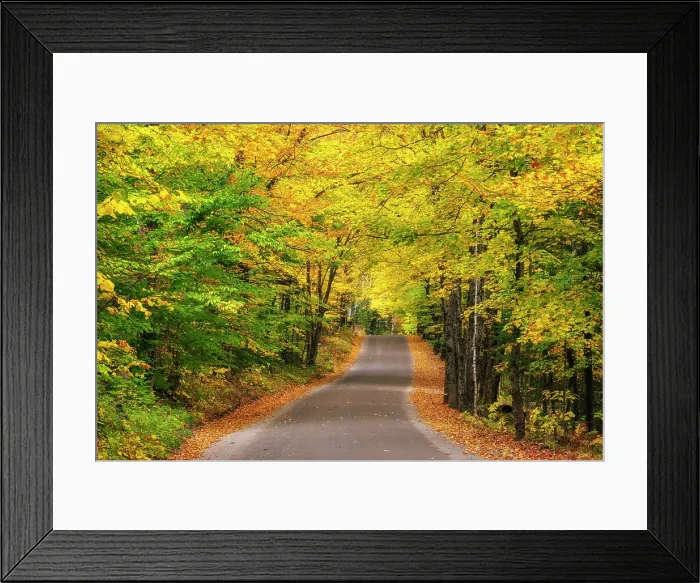 Framed Print : Road with fall foliage in the Adirondack Mountains, New York, USA