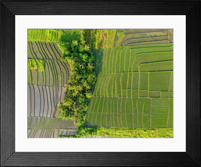 Framed Print : Rice Tarraces near Tanah Lot, Bali, Indonesia