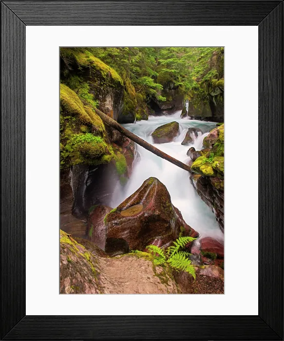 Framed Print : Avalanche Gorge, Glacier National Park, Montana, USA Framed Print : Avalanche Gorge, Glacier National Park, Montana, USA