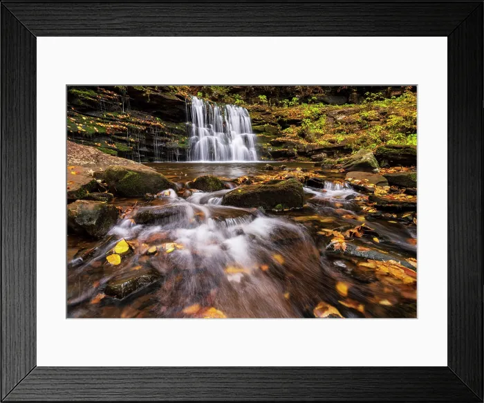 Framed Print : Cayuga Falls in Autumn, Ricketts Glen State Park, Benton, Pennsylvania, USA Framed Print : Cayuga Falls in Autumn, Ricketts Glen State Park, Benton, Pennsylvania, USA