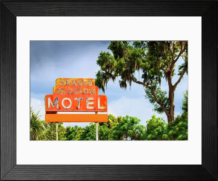 Framed Print : USA, Citra, Florida, 1950's Orange Blossom Motel Sign, Oak Tree Framed Print : USA, Citra, Florida, 1950's Orange Blossom Motel Sign, Oak Tree