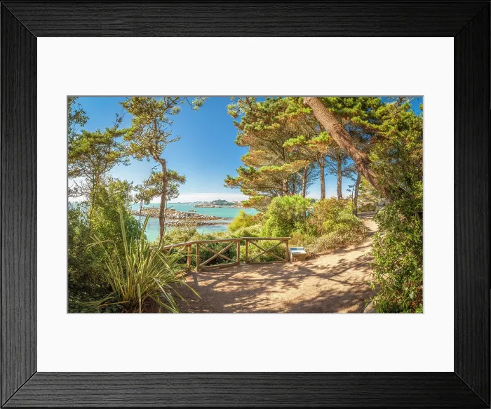 Framed Print : Jardin Exotique on the Ile de Batz, Finistere, Brittany, France Framed Print : Jardin Exotique on the Ile de Batz, Finistere, Brittany, France
