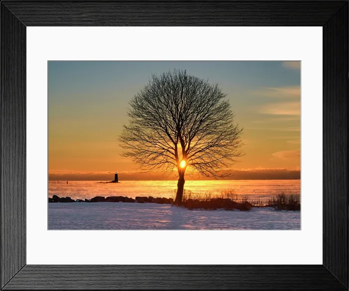 Framed Print : Winter sun rising through tree on coast, Great Island Common, New Castle, New Hampshire, USA Framed Print : Winter sun rising through tree on coast, Great Island Common, New Castle, New Hampshire, USA