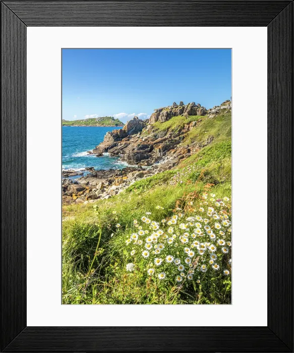 Framed Print : Rocky coast with daisies at Pointe de Bihit, Trebeurden, Cotes-d'Armor, Brittany, France Framed Print : Rocky coast with daisies at Pointe de Bihit, Trebeurden, Cotes-d'Armor, Brittany, France
