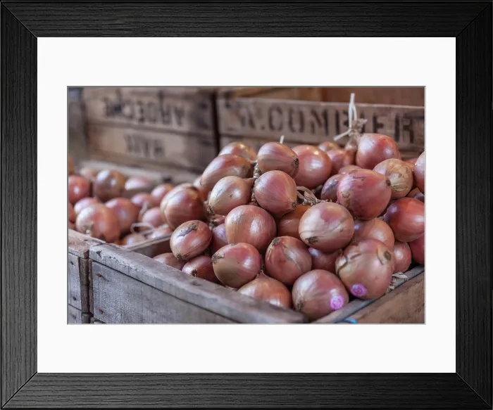 Framed Print : Red onions in rustic wooden boxes, Finistere, Brittany, France Framed Print : Red onions in rustic wooden boxes, Finistere, Brittany, France