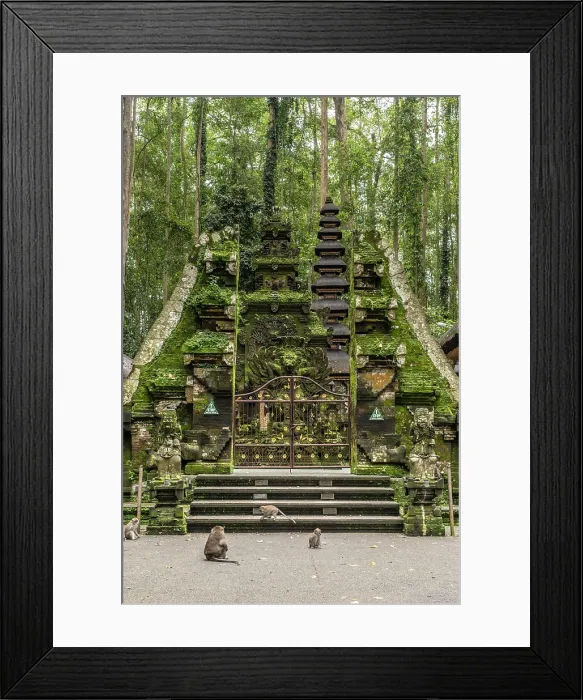 Framed Print : Monkey Temple at Sangeh, Bali, Indonesia Framed Print : Monkey Temple at Sangeh, Bali, Indonesia
