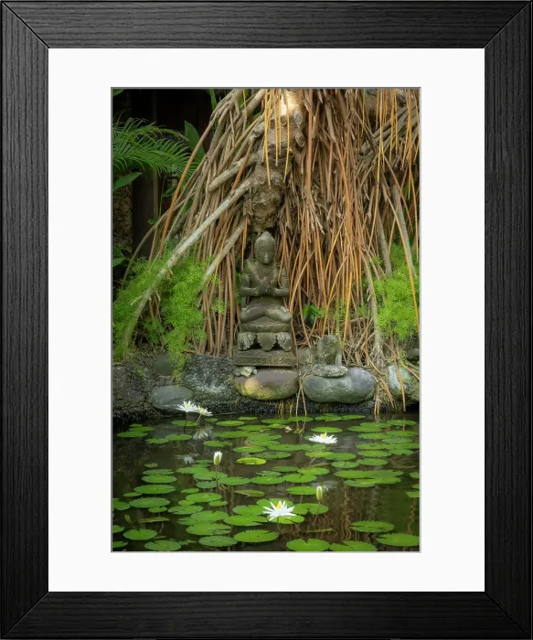 Framed Print : Buddha statue & Lily pond at the Oberoi Hote in Seminyak,  Bali, Indonesia