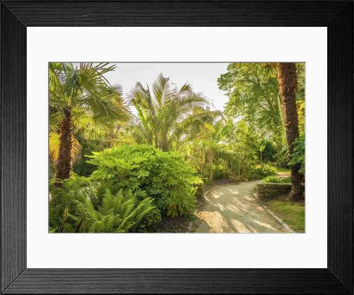 Framed Print : Jardin de la Retraite, Quimper, Finistere, Brittany, France Framed Print : Jardin de la Retraite, Quimper, Finistere, Brittany, France