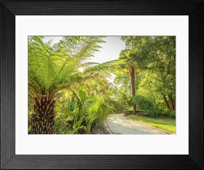 Framed Print : Jardin de la Retraite, Quimper, Finistere, Brittany, France Framed Print : Jardin de la Retraite, Quimper, Finistere, Brittany, France