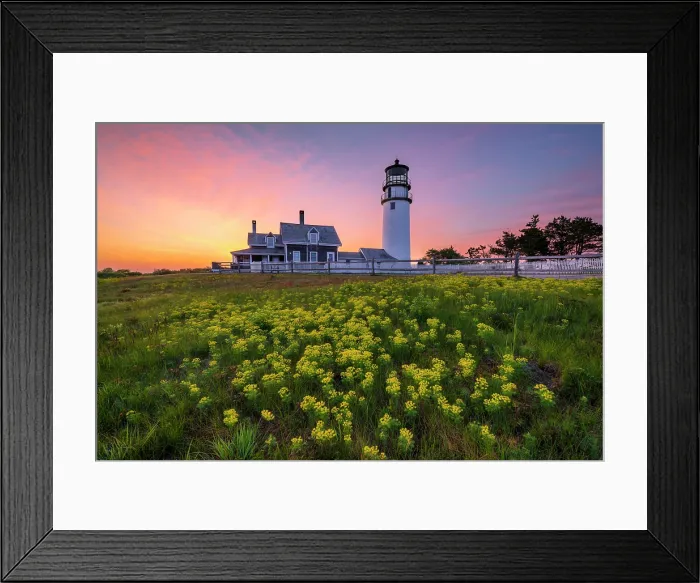 Framed Print : Surnise ove Highland Light with yellow wildflowers, Cape Cod, North Truro, Massachusetts, USA Framed Print : Surnise ove Highland Light with yellow wildflowers, Cape Cod, North Truro, Massachusetts, USA