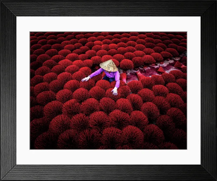 Framed Print : Local worker drying red incense sticks, Hanoi, Vietnam. (MR) Framed Print : Local worker drying red incense sticks, Hanoi, Vietnam. (MR)