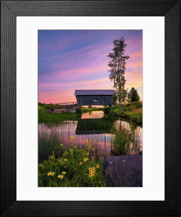 Framed Print : Sunset at the A.M. Foster Bridge with black-eyed susan flowers, Green Mountains, Cabot, Vermont Framed Print : Sunset at the A.M. Foster Bridge with black-eyed susan flowers, Green Mountains, Cabot, Vermont