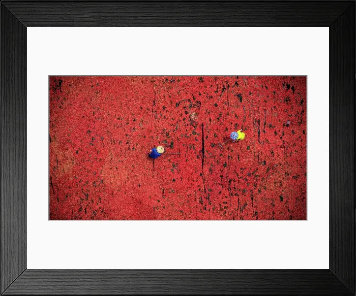 Framed Print : Farmers working with red chili peppers in drying fields, Vietnam. (MR) Framed Print : Farmers working with red chili peppers in drying fields, Vietnam. (MR)