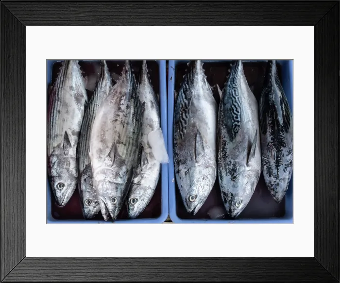 Framed Print : Fish Market, Jimbaran beach, Bali, Indonesia Framed Print : Fish Market, Jimbaran beach, Bali, Indonesia
