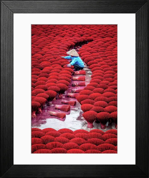 Framed Print : Vietnamese woman organising colourful incense sticks to dry, Hanoi, Vietnam. (MR) Framed Print : Vietnamese woman organising colourful incense sticks to dry, Hanoi, Vietnam. (MR)