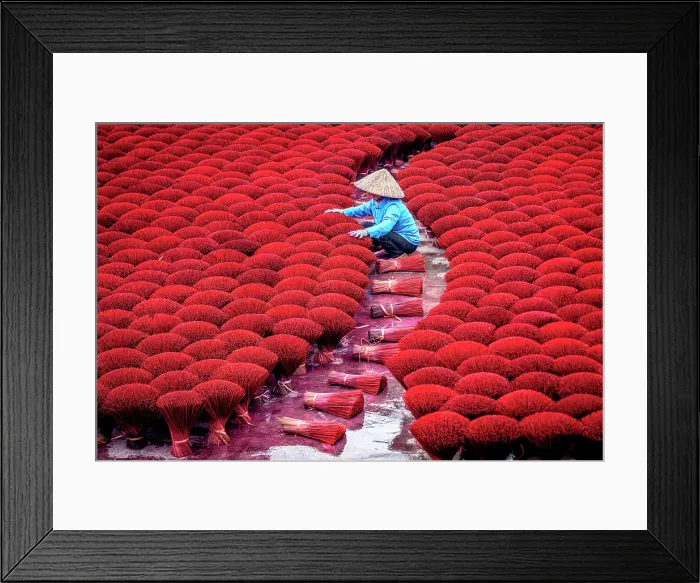 Framed Print : Woman with conical hat handling red incense sticks for drying, Hanoi, Vietnam. (MR) Framed Print : Woman with conical hat handling red incense sticks for drying, Hanoi, Vietnam. (MR)