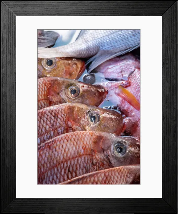 Framed Print : Fish Market, Jimbaran beach, Bali, Indonesia Framed Print : Fish Market, Jimbaran beach, Bali, Indonesia