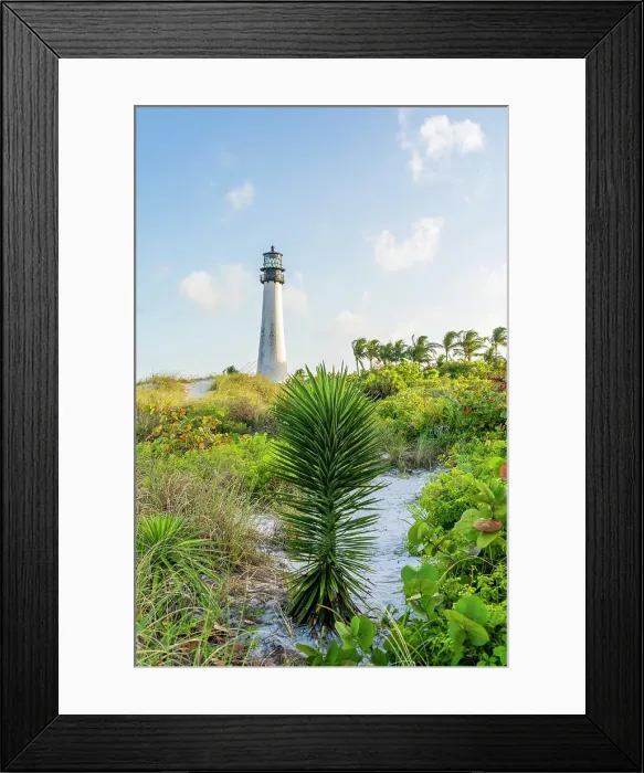 Framed Print : Cape Florida Lighthouse, Bill Baggs Cape Florida State Park, Key Biscayne, Florida Keys, Florida, USA Framed Print : Cape Florida Lighthouse, Bill Baggs Cape Florida State Park, Key Biscayne, Florida Keys, Florida, USA