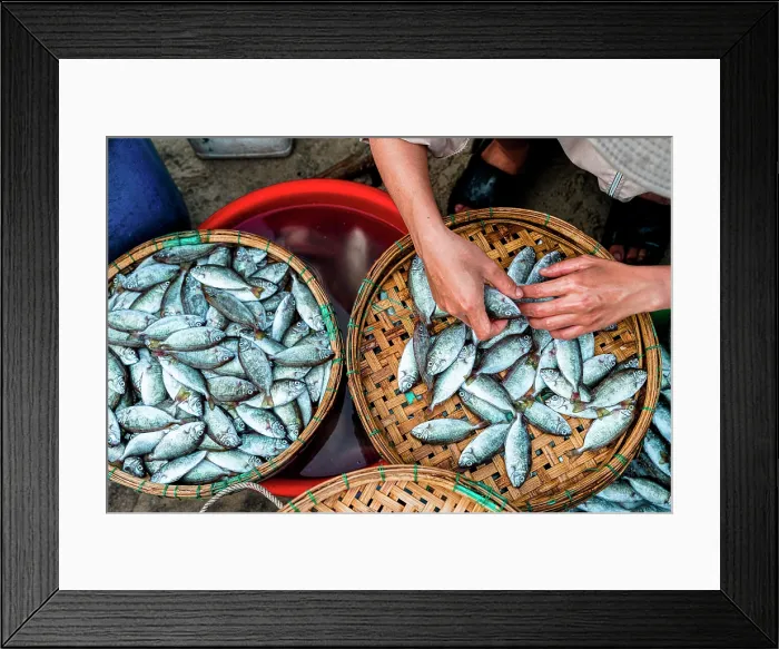 Framed Print : Fish market in Tam Tien, Quang Nam Province, Central Vietnam Framed Print : Fish market in Tam Tien, Quang Nam Province, Central Vietnam