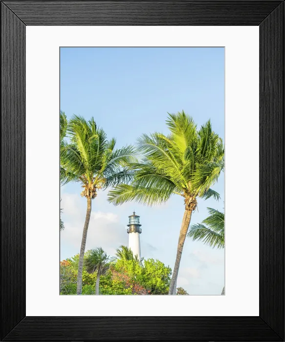 Framed Print : Cape Florida Lighthouse, Bill Baggs Cape Florida State Park, Key Biscayne, Florida Keys, Florida, USA Framed Print : Cape Florida Lighthouse, Bill Baggs Cape Florida State Park, Key Biscayne, Florida Keys, Florida, USA