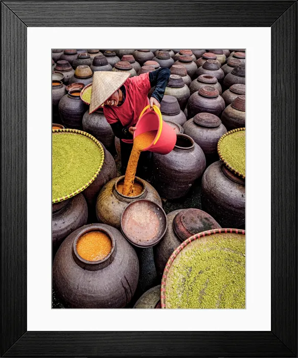 Framed Print : Woman making soy sauce in traditional clay jars, Hanoi, Vietnam. (MR) Framed Print : Woman making soy sauce in traditional clay jars, Hanoi, Vietnam. (MR)