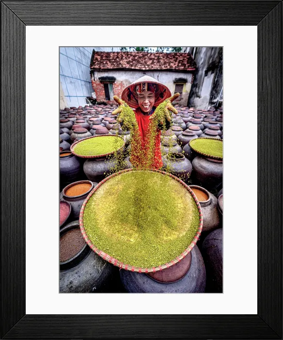 Framed Print : Smiling woman showing soybeans in soy sauce production, Hanoi, Vietnam. (MR) Framed Print : Smiling woman showing soybeans in soy sauce production, Hanoi, Vietnam. (MR)
