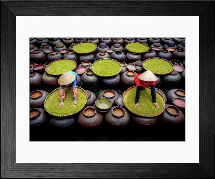Framed Print : Women with conical hat making soy sauce in fermentation jars, Hanoi, Vietnam. (MR) Framed Print : Women with conical hat making soy sauce in fermentation jars, Hanoi, Vietnam. (MR)