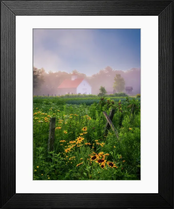 Framed Print : Morning fog at Muster Field Farm and garden, North Sutton, New Hampshire, USA Framed Print : Morning fog at Muster Field Farm and garden, North Sutton, New Hampshire, USA