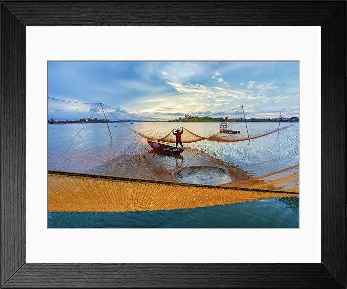 Framed Print : Fisherman adjusting fishing net at sunrise, Hoi An, Quang Nam Province, Central Vietnam. (MR) Framed Print : Fisherman adjusting fishing net at sunrise, Hoi An, Quang Nam Province, Central Vietnam. (MR)