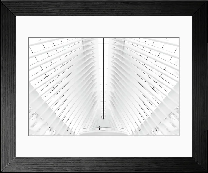 Framed Print : Inside the Oculus, Manhattan, New York City, New York, USA Framed Print : Inside the Oculus, Manhattan, New York City, New York, USA