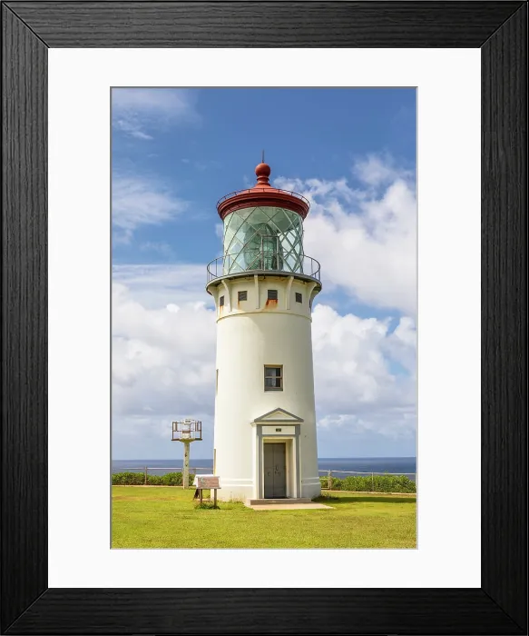 Framed Print : Kilauea Point National Wildlife Refuge, Kauai, Hawaii, USA, North America Framed Print : Kilauea Point National Wildlife Refuge, Kauai, Hawaii, USA, North America