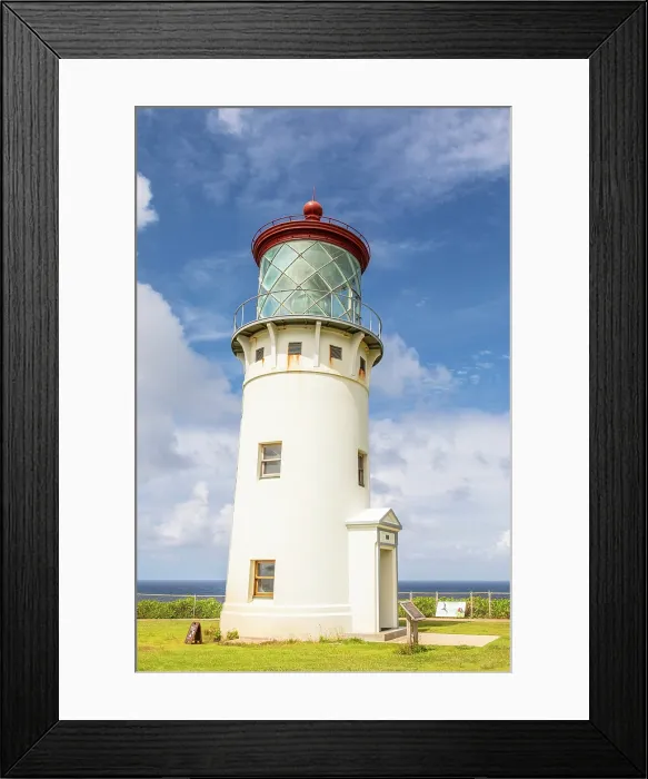 Framed Print : Kilauea Point National Wildlife Refuge, Kauai, Hawaii, USA, North America Framed Print : Kilauea Point National Wildlife Refuge, Kauai, Hawaii, USA, North America