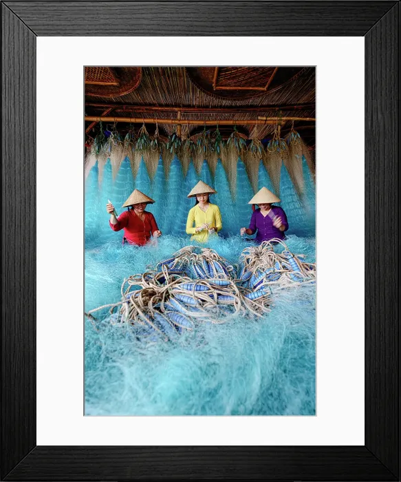 Framed Print : Women in a traditional ao dai repairing a blue fishing net, Vietnam. (MR) Framed Print : Women in a traditional ao dai repairing a blue fishing net, Vietnam. (MR)