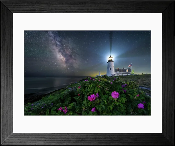 Framed Print : Milky Way and beach roses at Pemaquid Point Lighthouse, Bristol, Maine, USA Framed Print : Milky Way and beach roses at Pemaquid Point Lighthouse, Bristol, Maine, USA