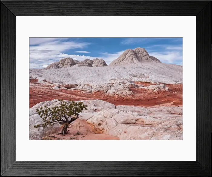Framed Print : Brain rocks at White Pocket in the Vermilion Cliffs National Monument, Arizona, USA Framed Print : Brain rocks at White Pocket in the Vermilion Cliffs National Monument, Arizona, USA